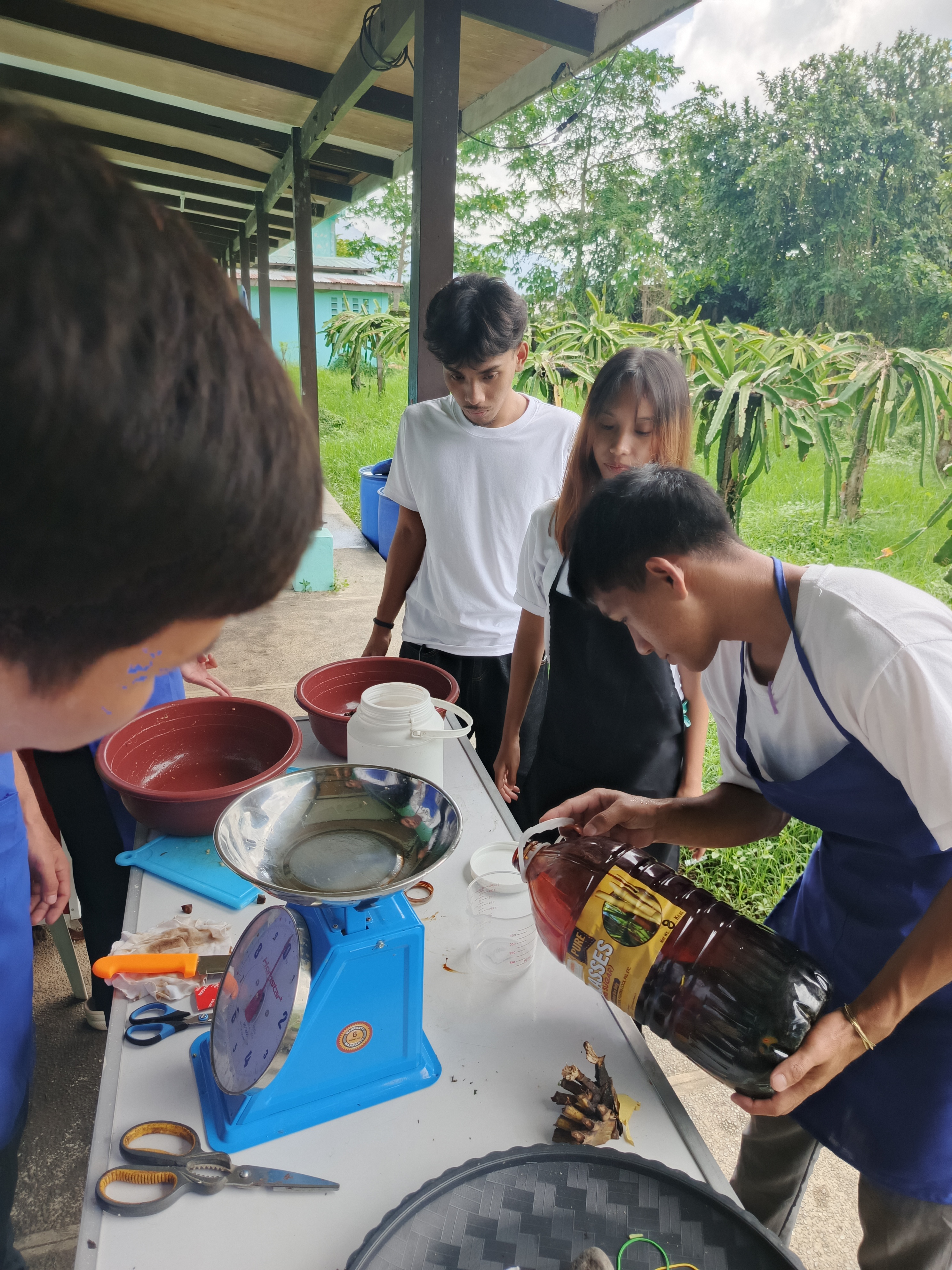 Produce Organic Concoction 5